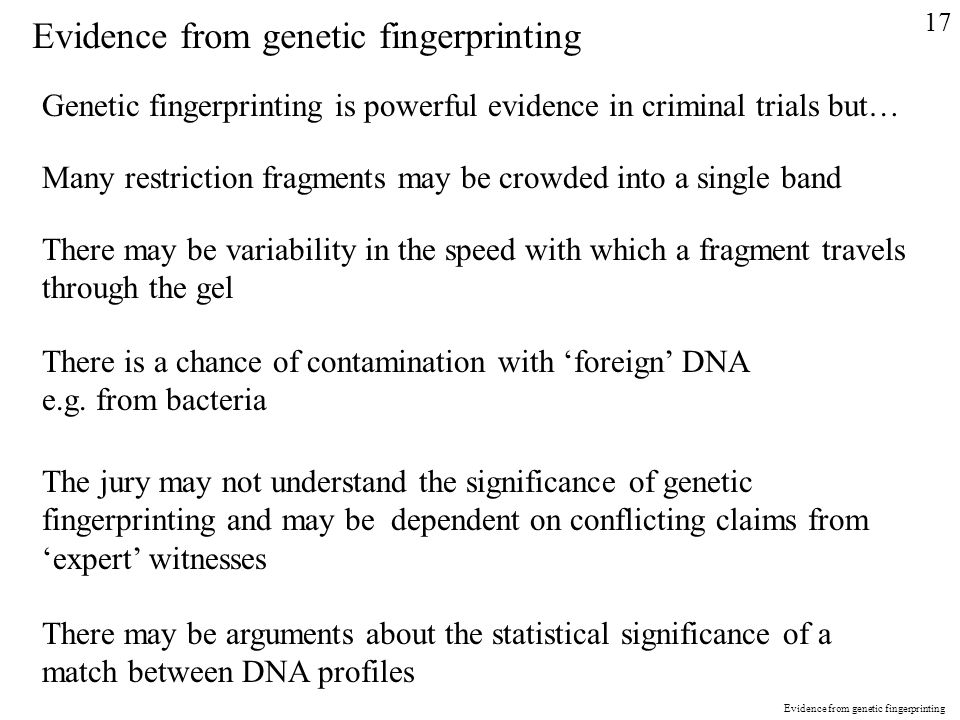 Evidence from genetic fingerprinting Genetic fingerprinting is powerful evidence in criminal trials but… Many restriction fragments may be crowded into a single band There may be variability in the speed with which a fragment travels through the gel There is a chance of contamination with ‘foreign’ DNA e.g.