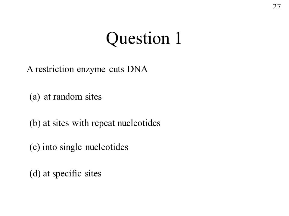 Question 1 A restriction enzyme cuts DNA (a)at random sites (b) at sites with repeat nucleotides (c) into single nucleotides (d) at specific sites 27