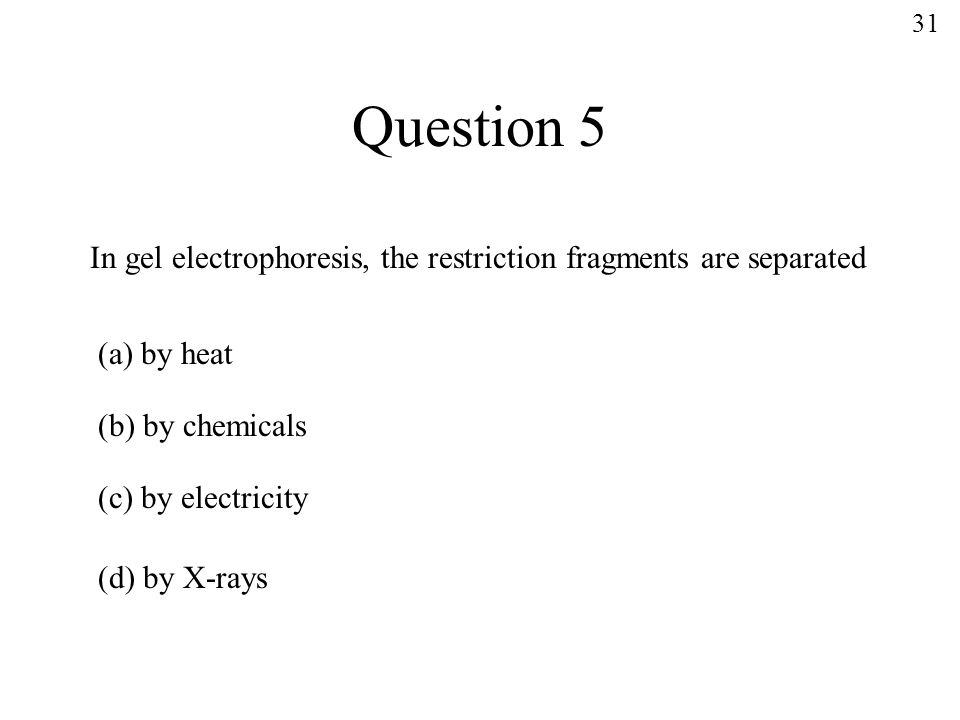 Question 5 In gel electrophoresis, the restriction fragments are separated (a) by heat (b) by chemicals (c) by electricity (d) by X-rays 31