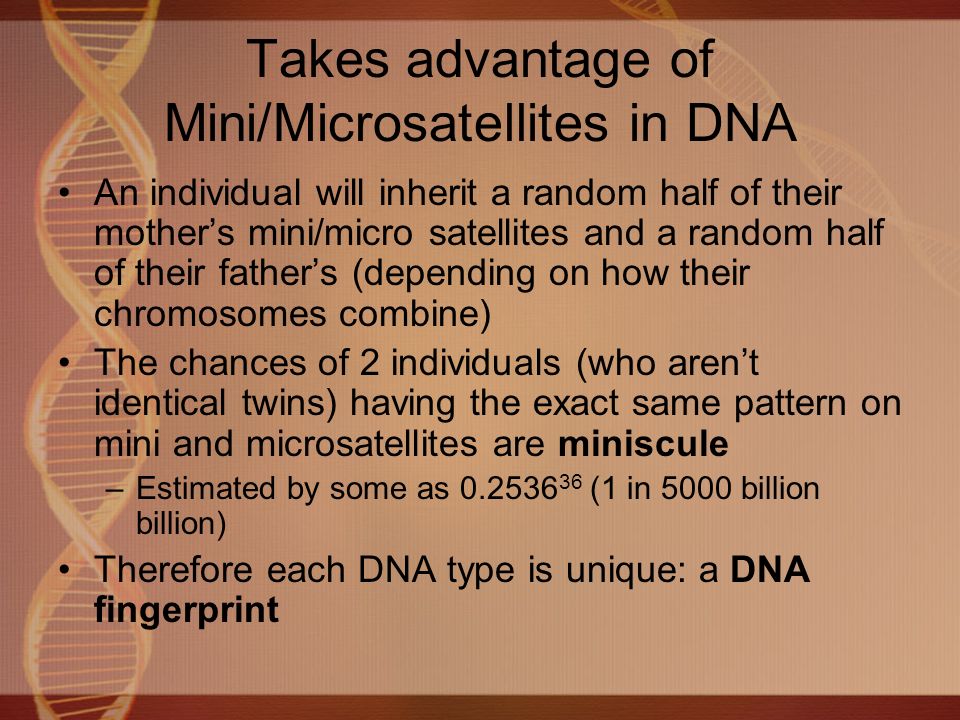 Takes advantage of Mini/Microsatellites in DNA An individual will inherit a random half of their mother’s mini/micro satellites and a random half of their father’s (depending on how their chromosomes combine) The chances of 2 individuals (who aren’t identical twins) having the exact same pattern on mini and microsatellites are miniscule –Estimated by some as (1 in 5000 billion billion) Therefore each DNA type is unique: a DNA fingerprint