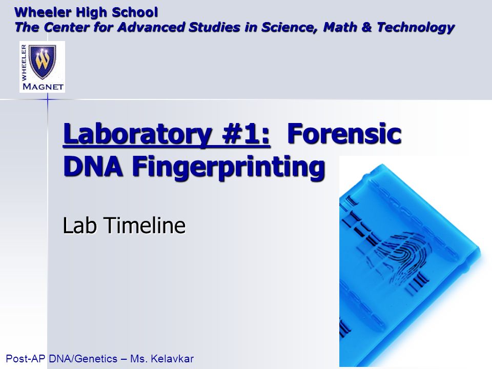 dna fingerprinting essay conclusion Research paper on dna fingerprinting dna is a tool of great use throughout the world especially when it comes to the field of forensic science, dna is the most important tool of all what is dnadna, short for deoxyribonucleic acid, is a group of molecules that hereditary information in which guides development and functioning throughout the. dna fingerprinting essay conclusion Research paper on dna fingerprinting dna is a tool of great use throughout the world especially when it comes to the field of forensic science, dna is the most important tool of all what is dnadna, short for deoxyribonucleic acid, is a group of molecules that hereditary information in which guides development and functioning throughout the.