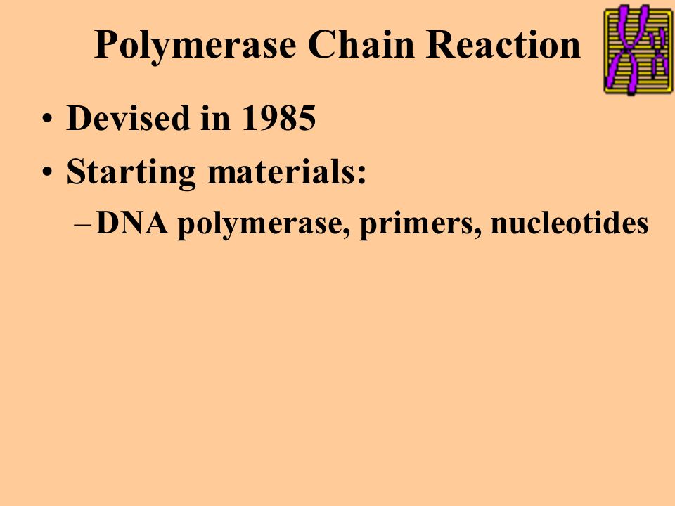 Polymerase Chain Reaction Use when source of DNA is impure or scarce Clones DNA entirely in vitro Making many copies of a specific segment of DNA (billions of copies in a few hours) Used for DNA analysis –Ancient DNA fragments –DNA from tiny samples –DNA from single embryonic cells –DNA of viral genes