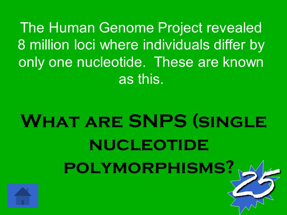 The Human Genome Project revealed 8 million loci where individuals differ by only one nucleotide.