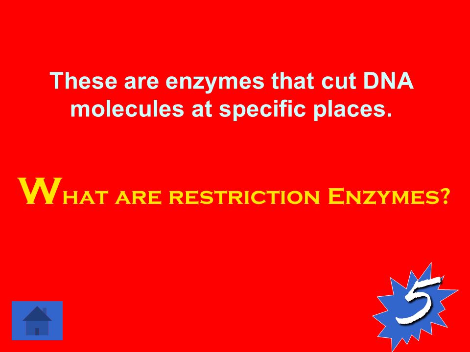 These are enzymes that cut DNA molecules at specific places. 5 W hat are restriction Enzymes