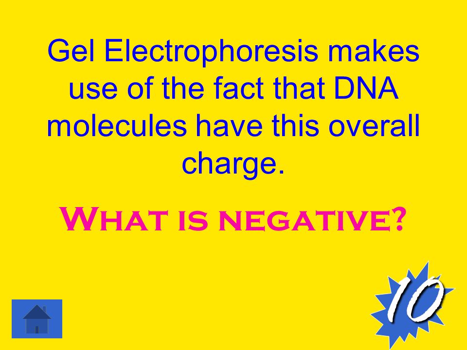 Gel Electrophoresis makes use of the fact that DNA molecules have this overall charge.