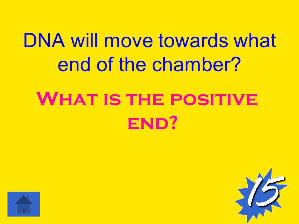 DNA will move towards what end of the chamber What is the positive end 15