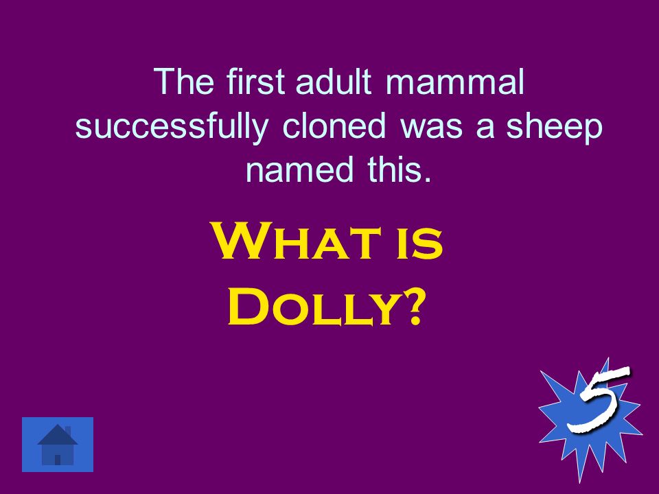 The first adult mammal successfully cloned was a sheep named this. What is Dolly 5