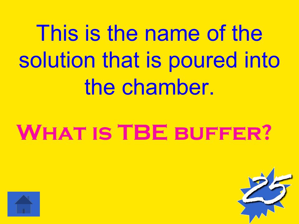 This is the name of the solution that is poured into the chamber. What is TBE buffer 25