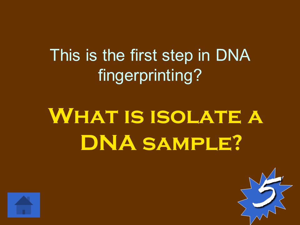 This is the first step in DNA fingerprinting What is isolate a DNA sample 5