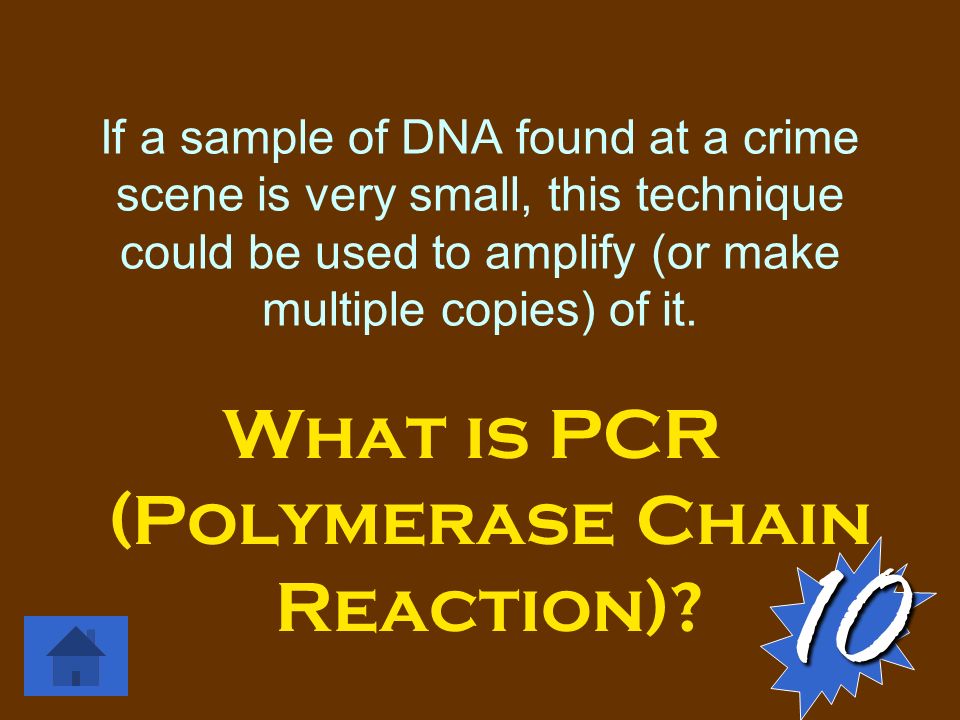 If a sample of DNA found at a crime scene is very small, this technique could be used to amplify (or make multiple copies) of it.