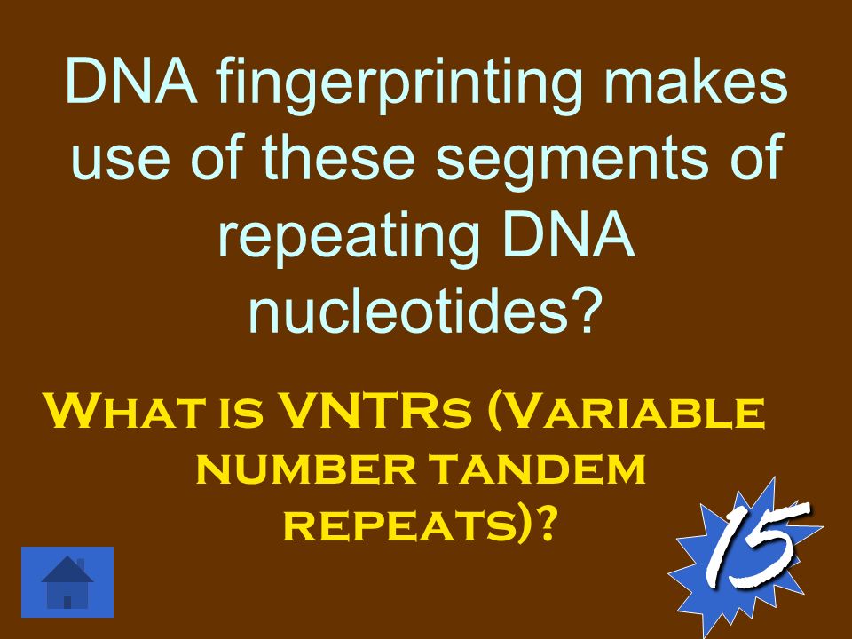 DNA fingerprinting makes use of these segments of repeating DNA nucleotides.