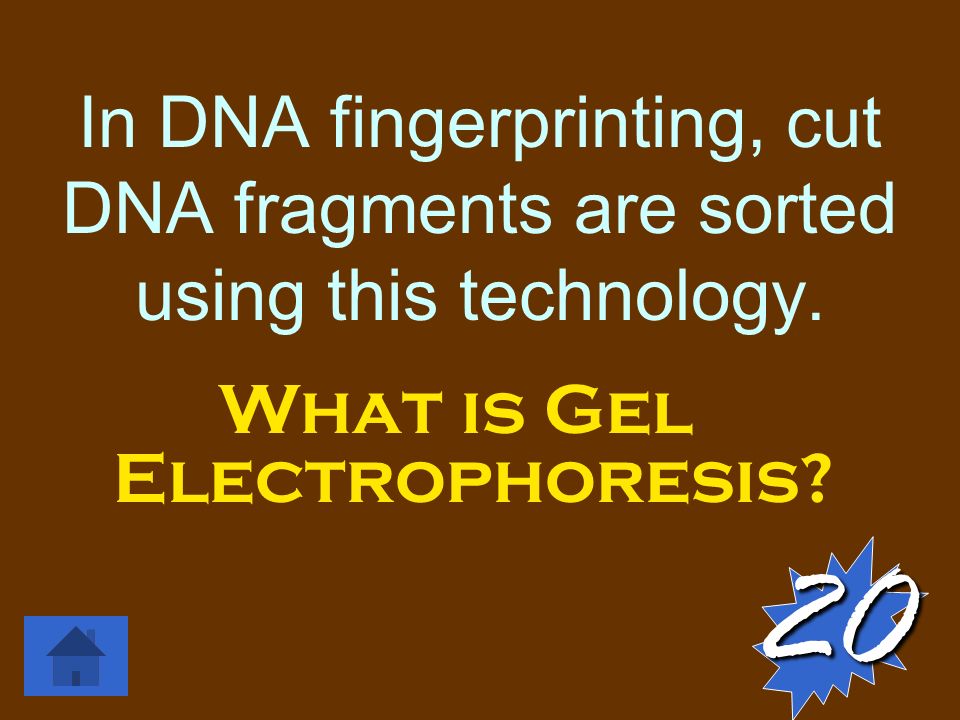 In DNA fingerprinting, cut DNA fragments are sorted using this technology.