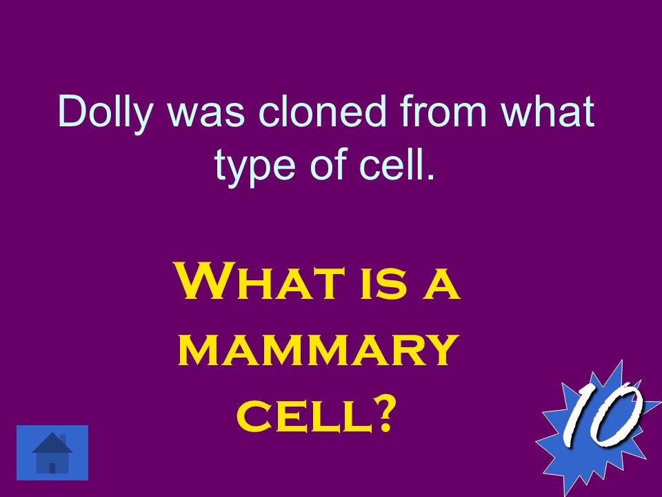 Dolly was cloned from what type of cell. What is a mammary cell 10