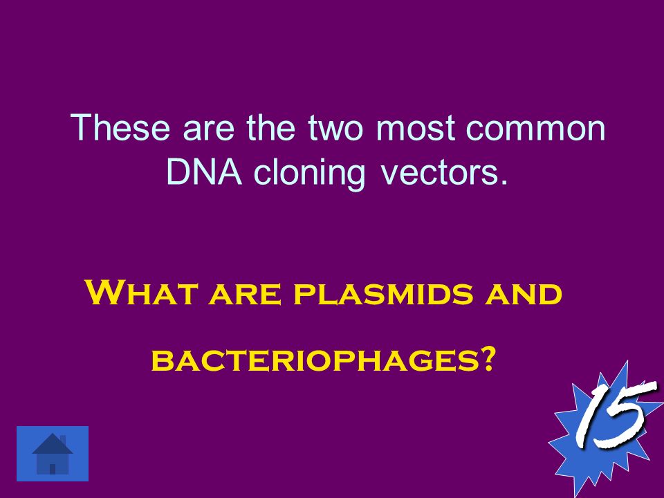 These are the two most common DNA cloning vectors. 15 What are plasmids and bacteriophages
