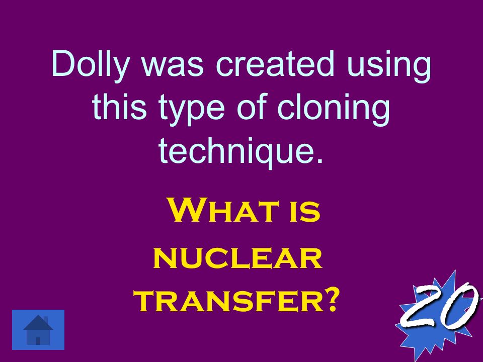 Dolly was created using this type of cloning technique. What is nuclear transfer 20