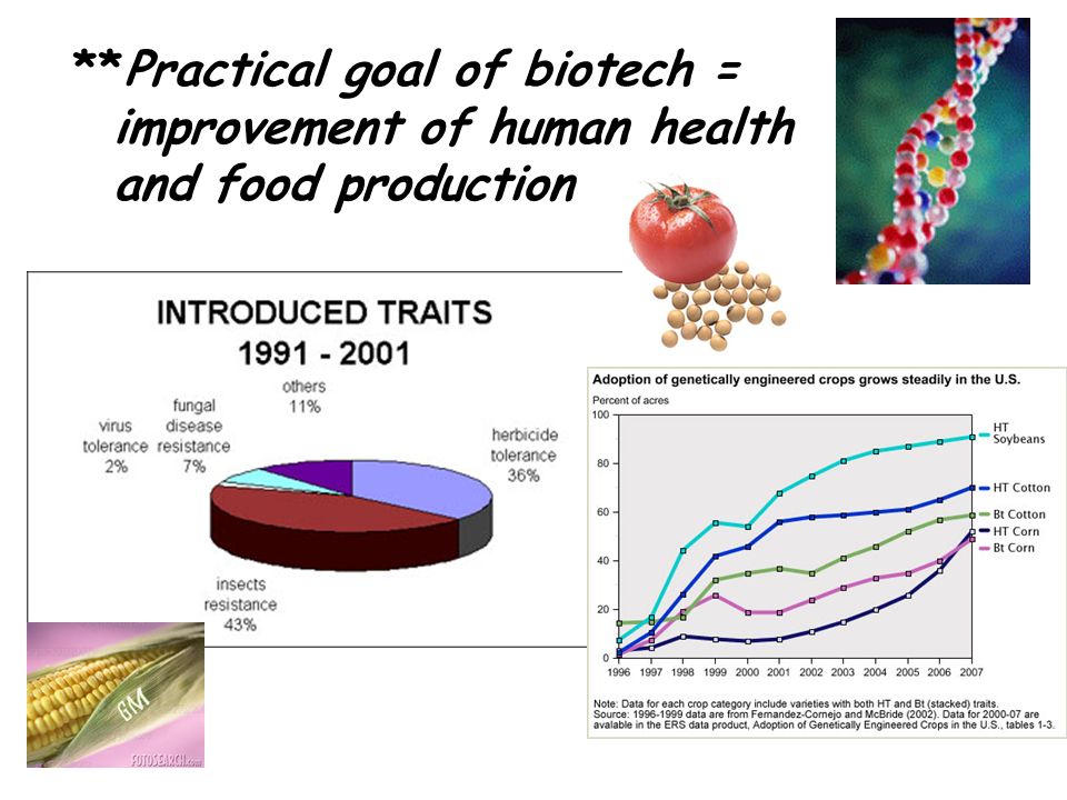 **Practical goal of biotech = improvement of human health and food production
