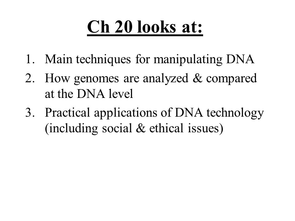 Ch 20 looks at: 1.Main techniques for manipulating DNA 2.How genomes are analyzed & compared at the DNA level 3.Practical applications of DNA technology (including social & ethical issues)