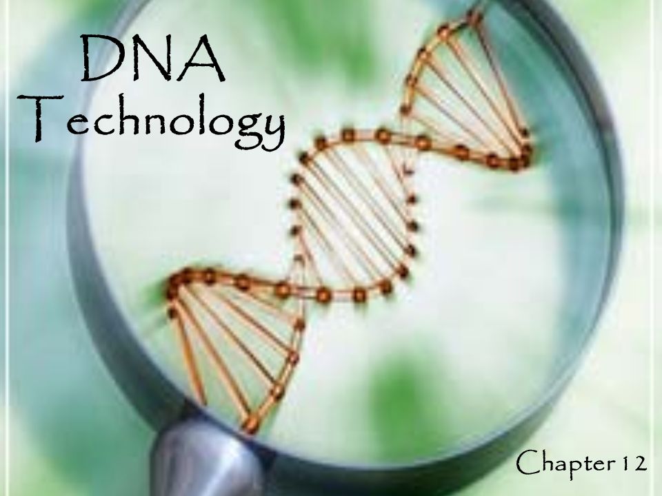 DNA Technology Chapter 12