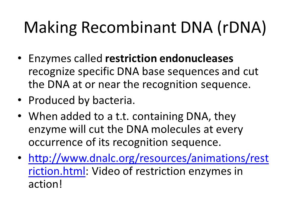Making Recombinant DNA (rDNA) Enzymes called restriction endonucleases recognize specific DNA base sequences and cut the DNA at or near the recognition sequence.