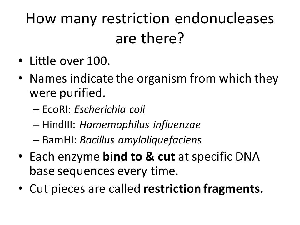 How many restriction endonucleases are there. Little over 100.