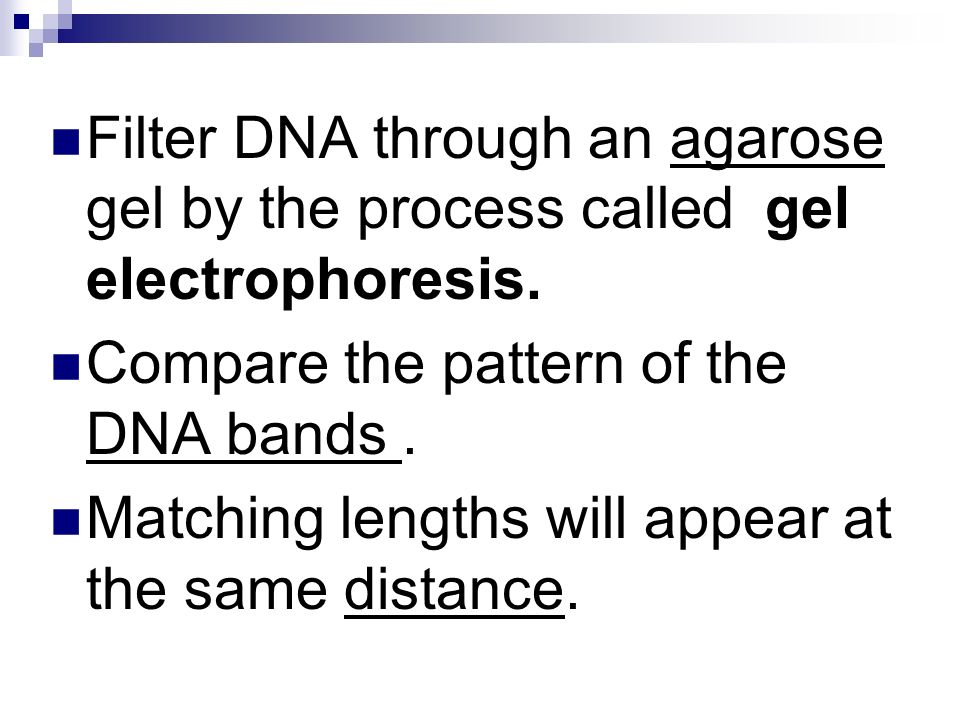 Filter DNA through an agarose gel by the process called gel electrophoresis.