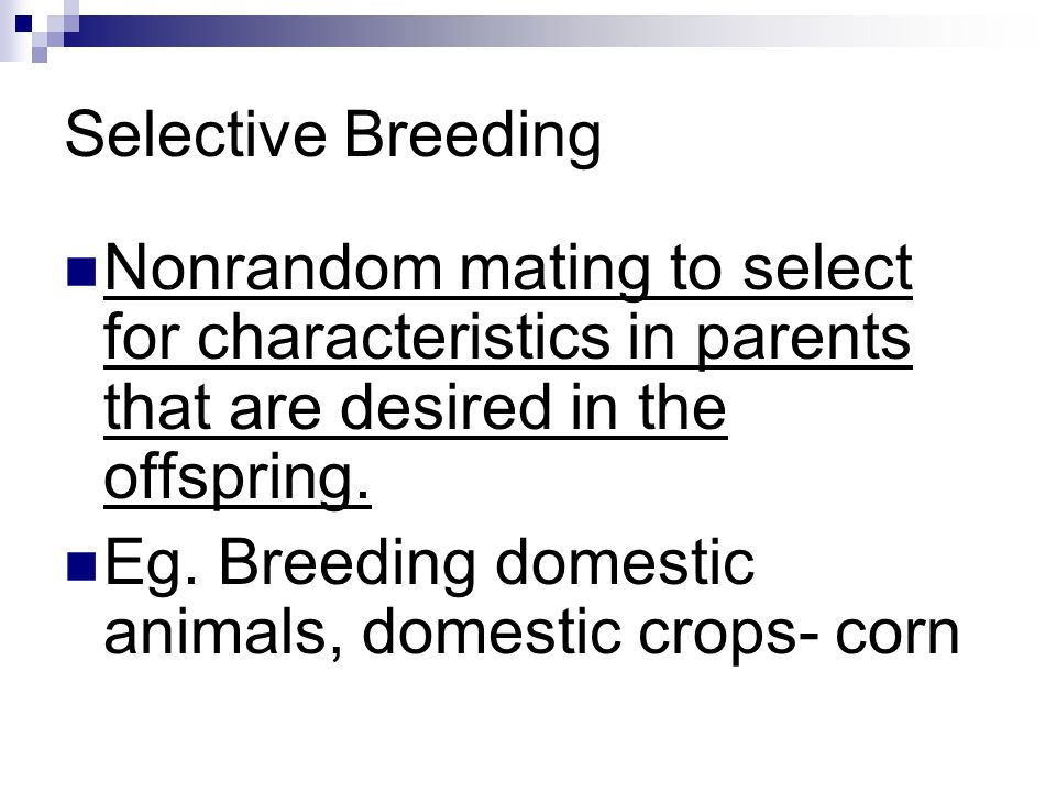Selective Breeding Nonrandom mating to select for characteristics in parents that are desired in the offspring.
