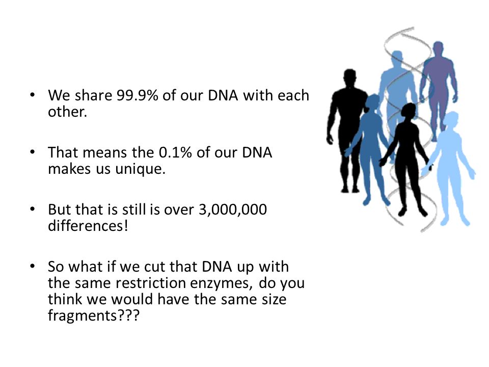 We share 99.9% of our DNA with each other. That means the 0.1% of our DNA makes us unique.