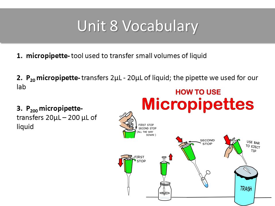Unit 8 Vocabulary 1. micropipette- tool used to transfer small volumes of liquid 2.