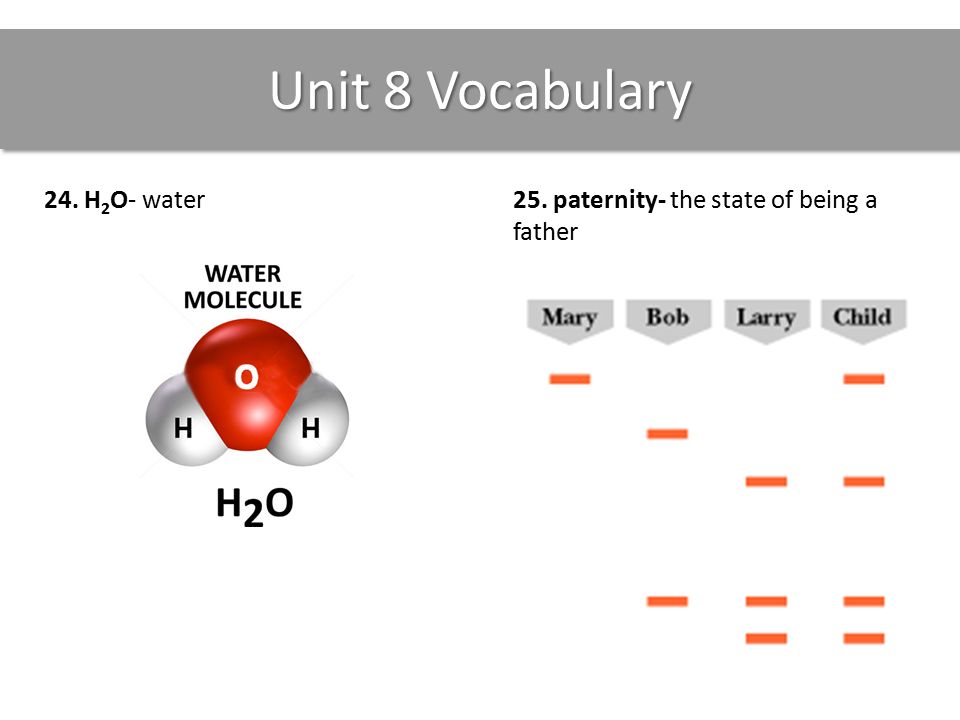Unit 8 Vocabulary 24. H 2 O- water25. paternity- the state of being a father