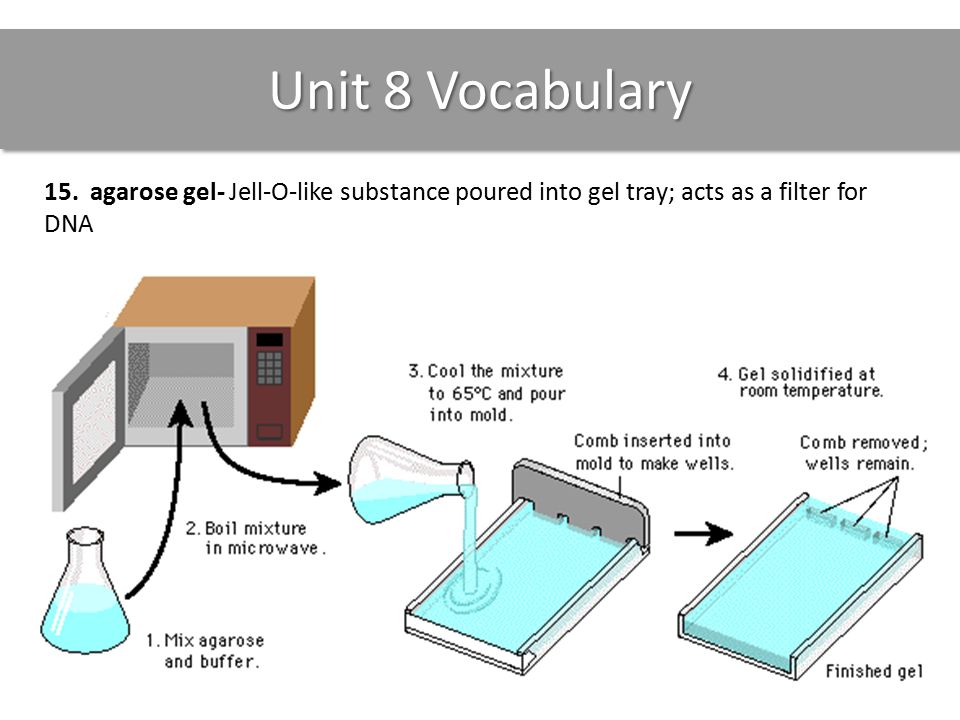 Unit 8 Vocabulary 15.
