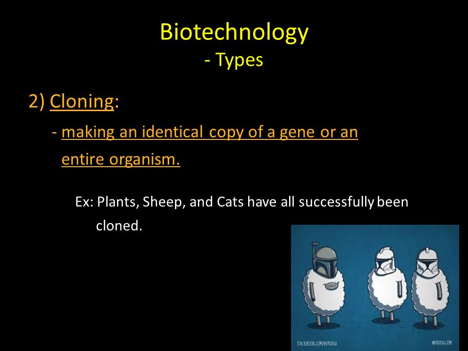 Biotechnology - Types 2) Cloning: - making an identical copy of a gene or an entire organism.