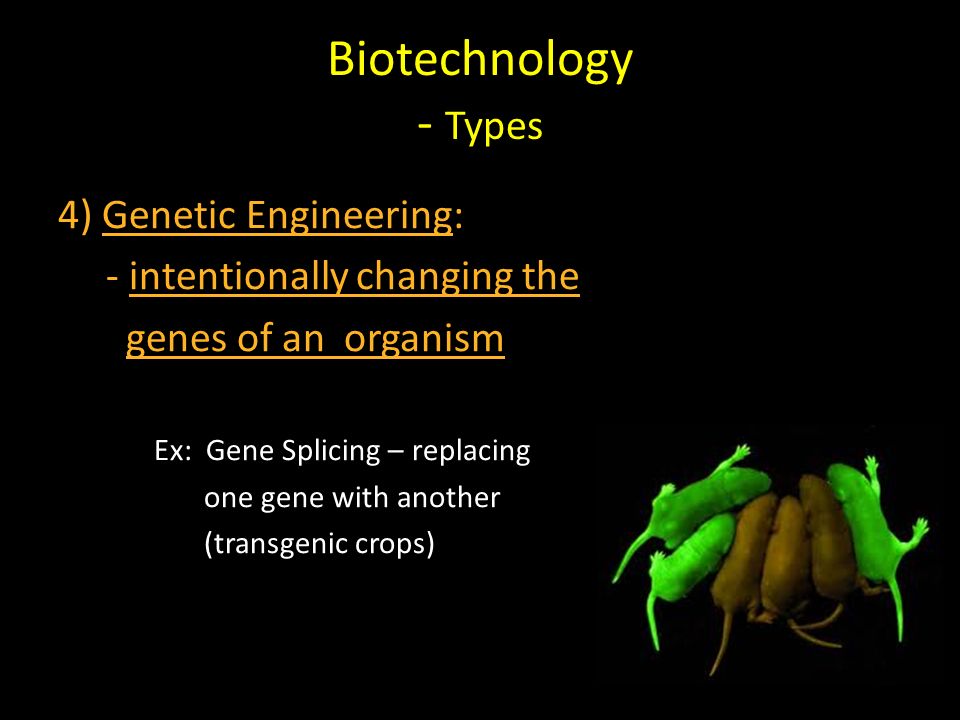 Biotechnology - Types 4) Genetic Engineering: - intentionally changing the genes of an organism Ex: Gene Splicing – replacing one gene with another (transgenic crops)