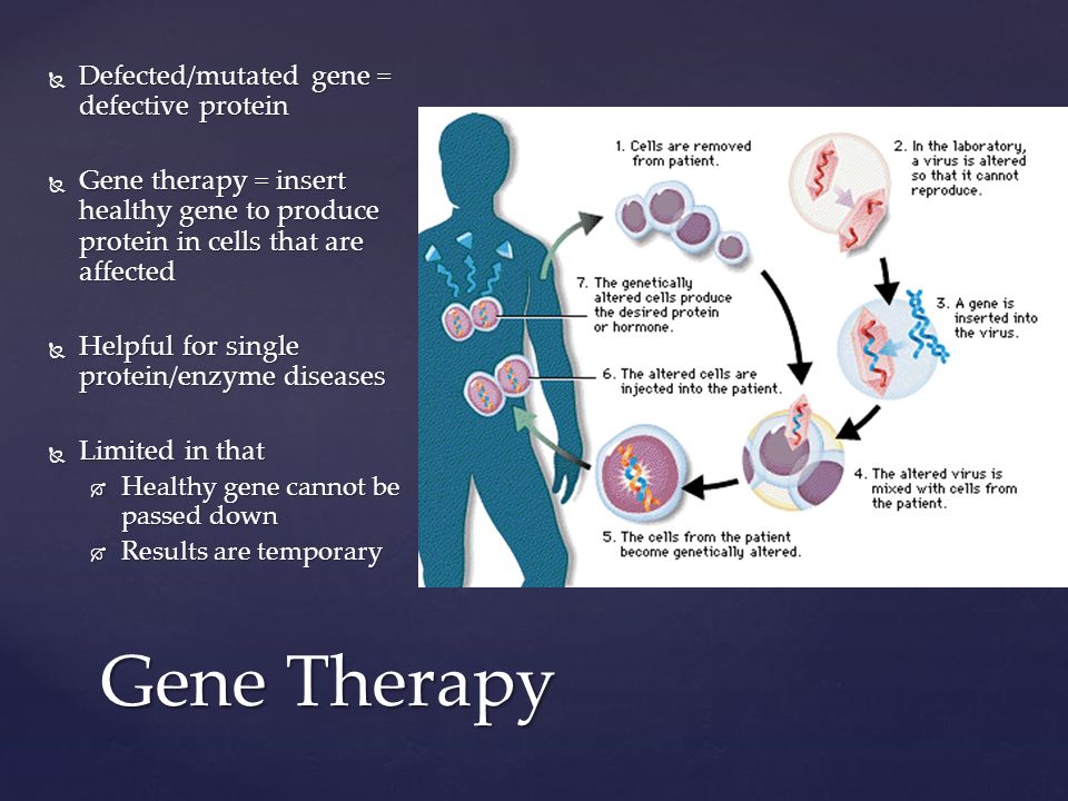 Gene Therapy  Defected/mutated gene = defective protein  Gene therapy = insert healthy gene to produce protein in cells that are affected  Helpful for single protein/enzyme diseases  Limited in that  Healthy gene cannot be passed down  Results are temporary