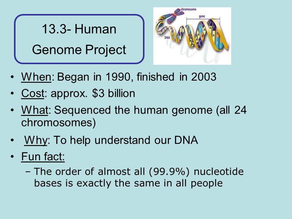 13.3- Human Genome Project When: Began in 1990, finished in 2003 Cost: approx.
