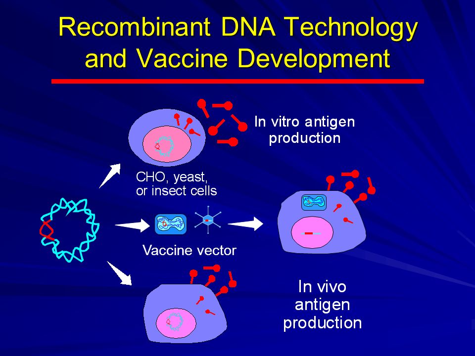 Recombinant DNA Technology and Vaccine Development Vaccine vector