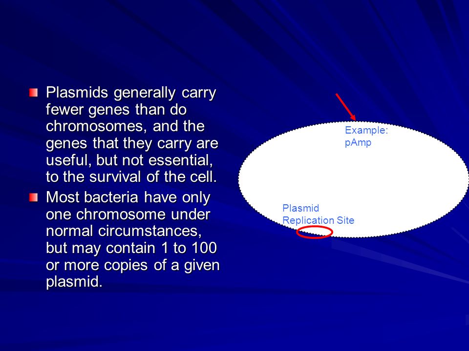 Plasmids generally carry fewer genes than do chromosomes, and the genes that they carry are useful, but not essential, to the survival of the cell.