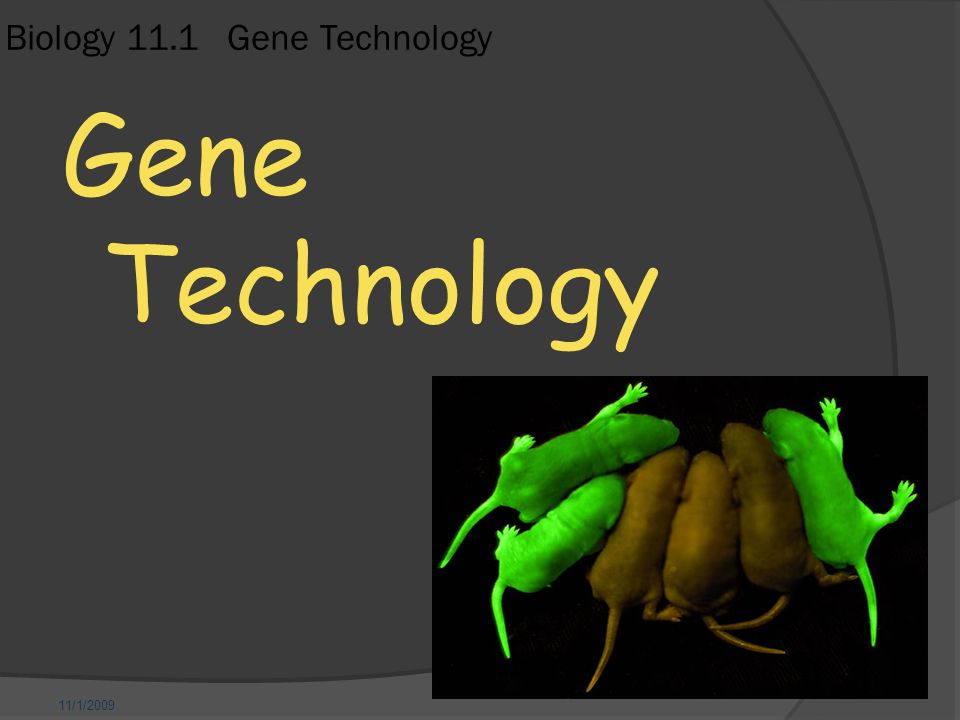 11/1/2009 Biology 11.1 Gene Technology Gene Technology
