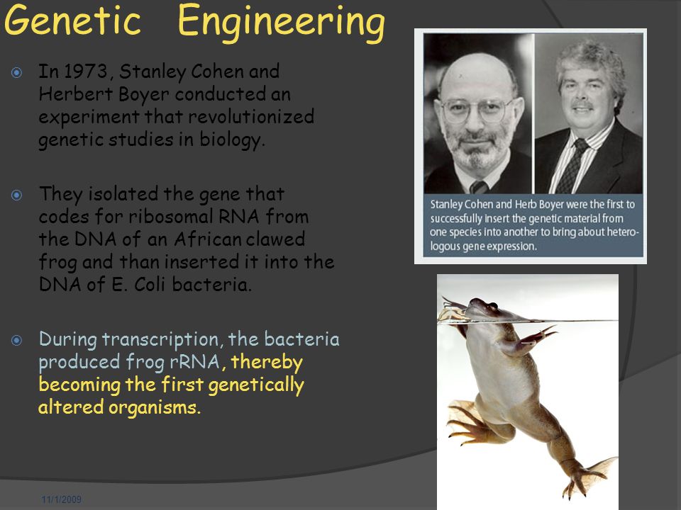 11/1/2009 Genetic Engineering  In 1973, Stanley Cohen and Herbert Boyer conducted an experiment that revolutionized genetic studies in biology.