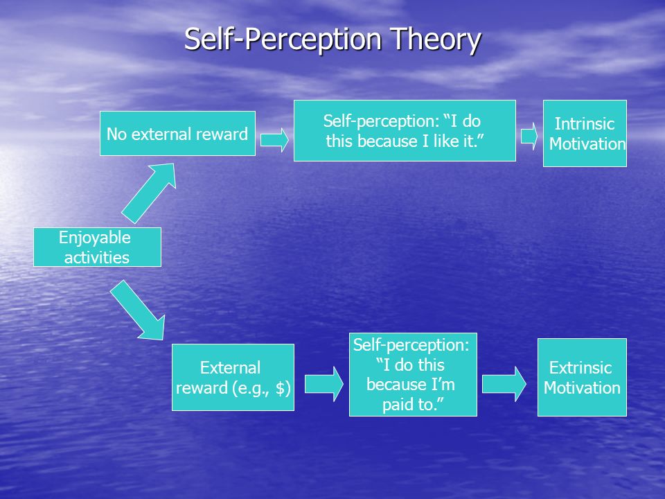 self perception theory