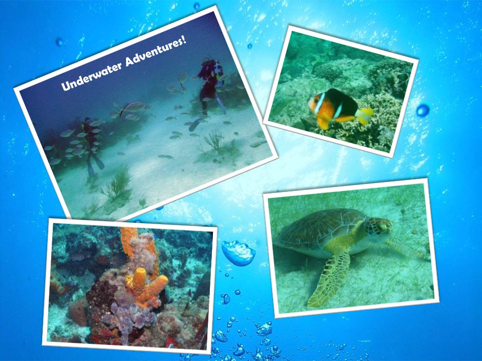 Underwater Adventures!