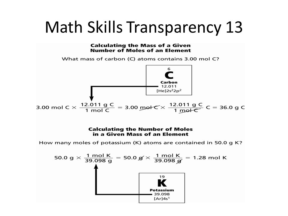 Chapter 10 The Mole National Standards For Ucp 1 24 Math Skills Transparency 13