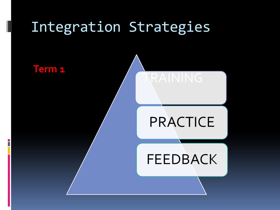 Integration Strategies PRACTICEFEEDBACK Term 1 TRAINING