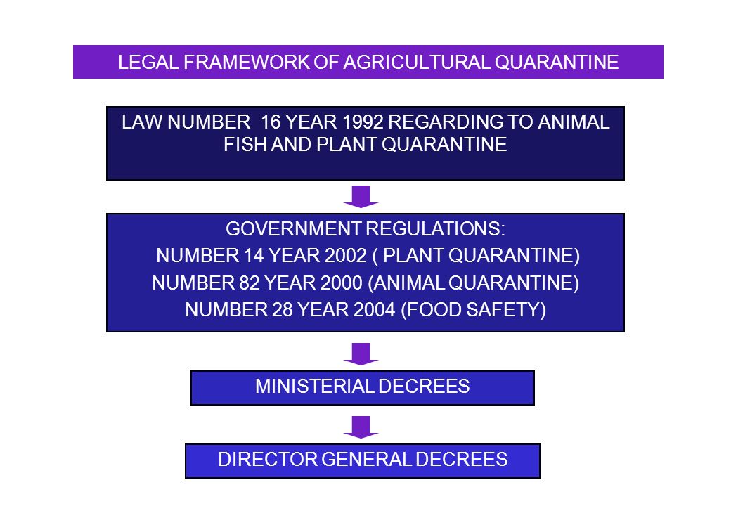 LEGAL FRAMEWORK OF AGRICULTURAL QUARANTINE LAW NUMBER 16 YEAR 1992 REGARDING TO ANIMAL FISH AND PLANT QUARANTINE GOVERNMENT REGULATIONS: NUMBER 14 YEAR 2002 ( PLANT QUARANTINE) NUMBER 82 YEAR 2000 (ANIMAL QUARANTINE) NUMBER 28 YEAR 2004 (FOOD SAFETY) MINISTERIAL DECREES DIRECTOR GENERAL DECREES