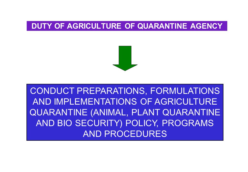 DUTY OF AGRICULTURE OF QUARANTINE AGENCY CONDUCT PREPARATIONS, FORMULATIONS AND IMPLEMENTATIONS OF AGRICULTURE QUARANTINE (ANIMAL, PLANT QUARANTINE AND BIO SECURITY) POLICY, PROGRAMS AND PROCEDURES