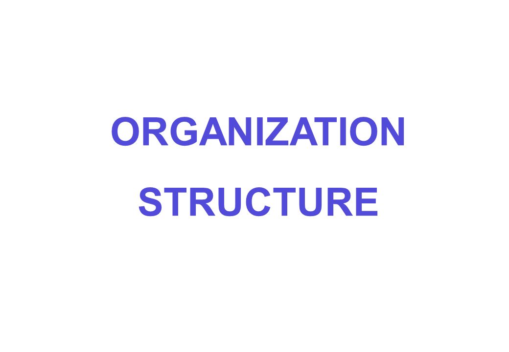 ORGANIZATION STRUCTURE