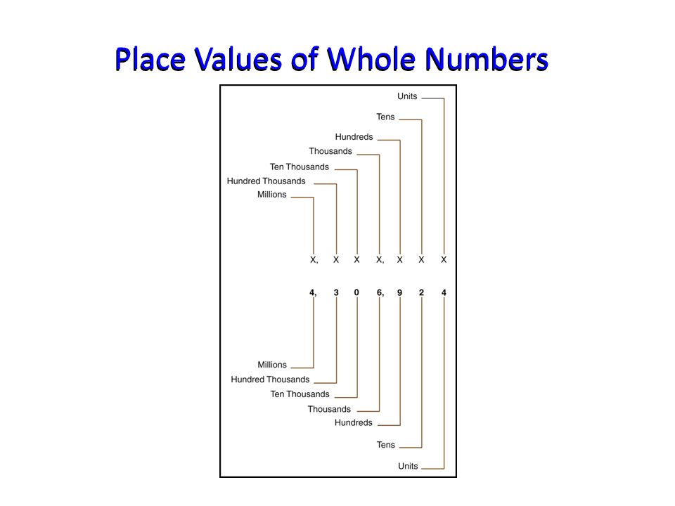 Worksheets Real Numbers Worksheet adding and subtracting real numbers worksheet intrepidpath square roots exponents
