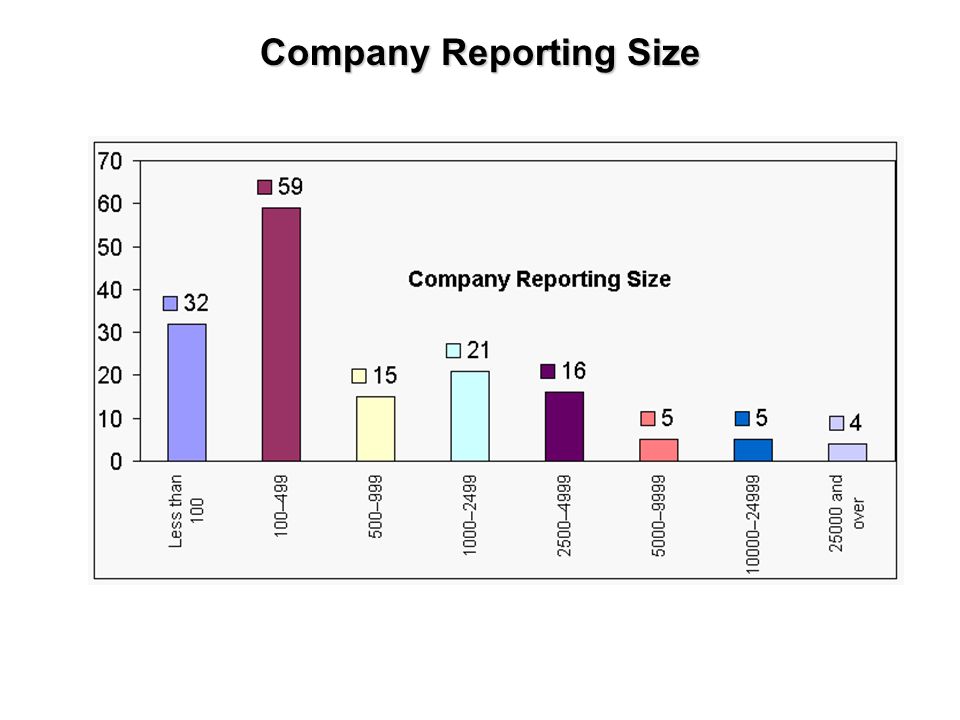 Company Reporting Size