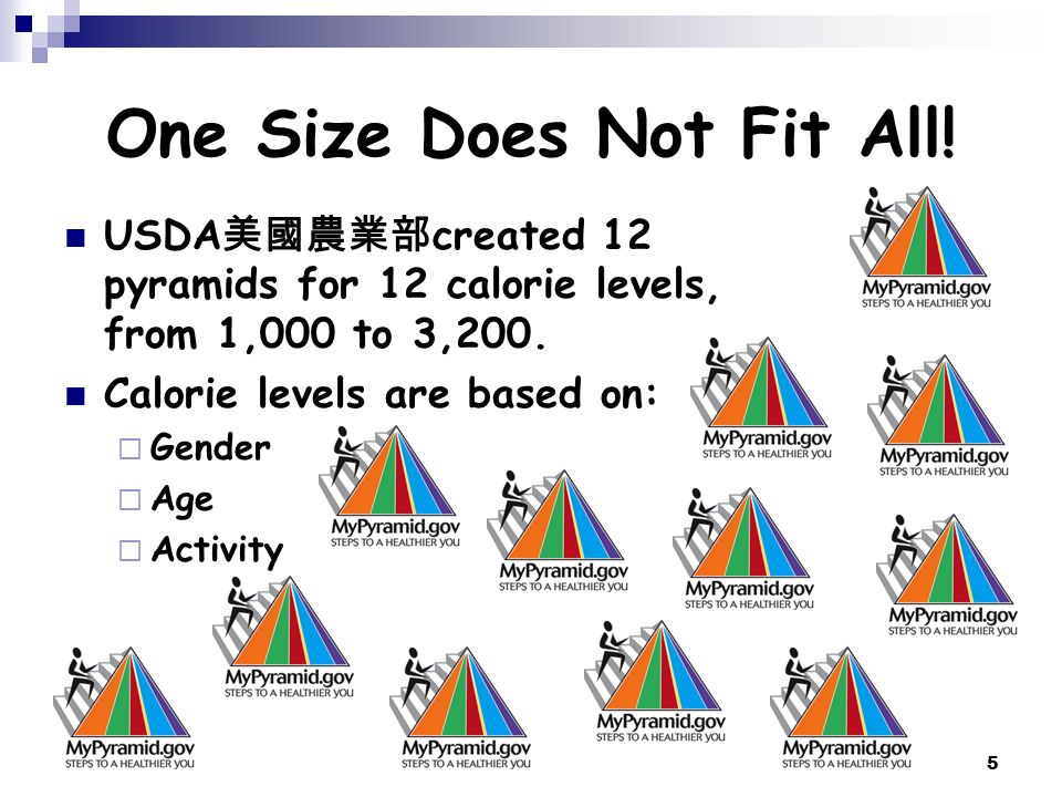 Worksheet Calorie Worksheet 1 worksheet time a covered with the words of different 5 one size does not fit all usda created 12 pyramids for