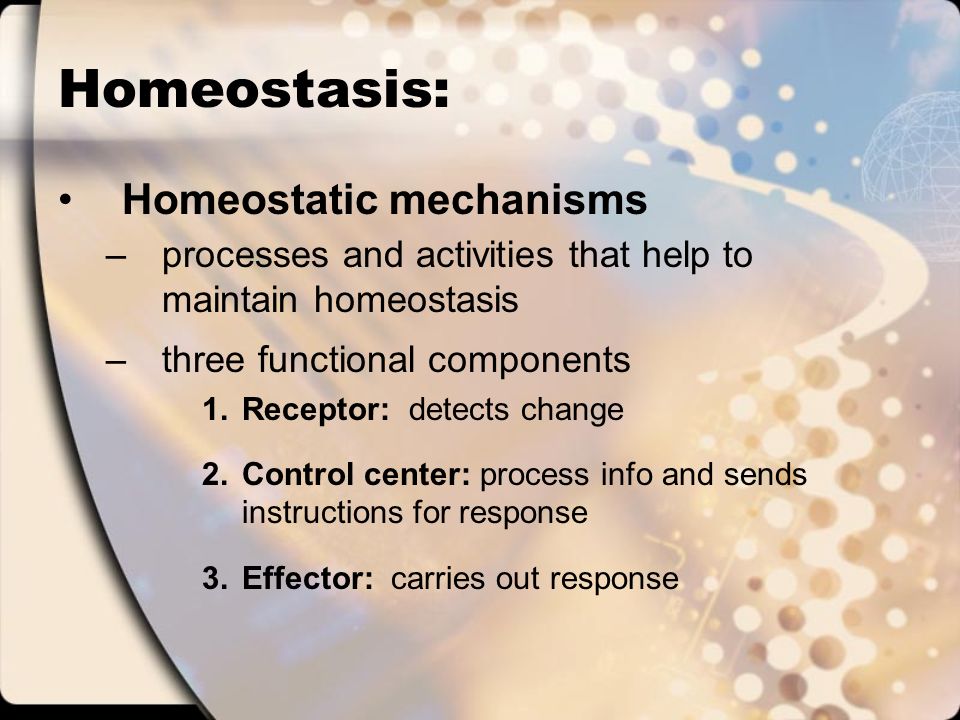 Essay On Importance Of English Language Essay On Homeostasis In The Human Body Essay Topics Essays Homeostasis In The Human Read More Universal Health Care Essay also Essay About Healthy Food Methods And Applications For Advancing Distance Education National Honor Society High School Essay