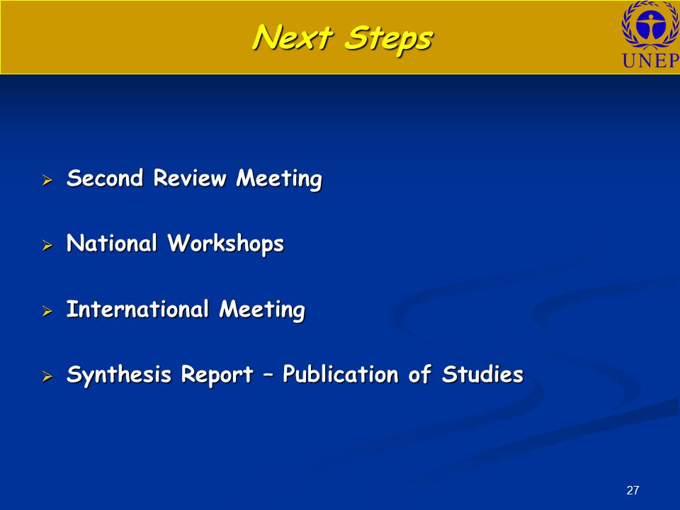 27  Second Review Meeting  National Workshops  International Meeting  Synthesis Report – Publication of Studies Next Steps